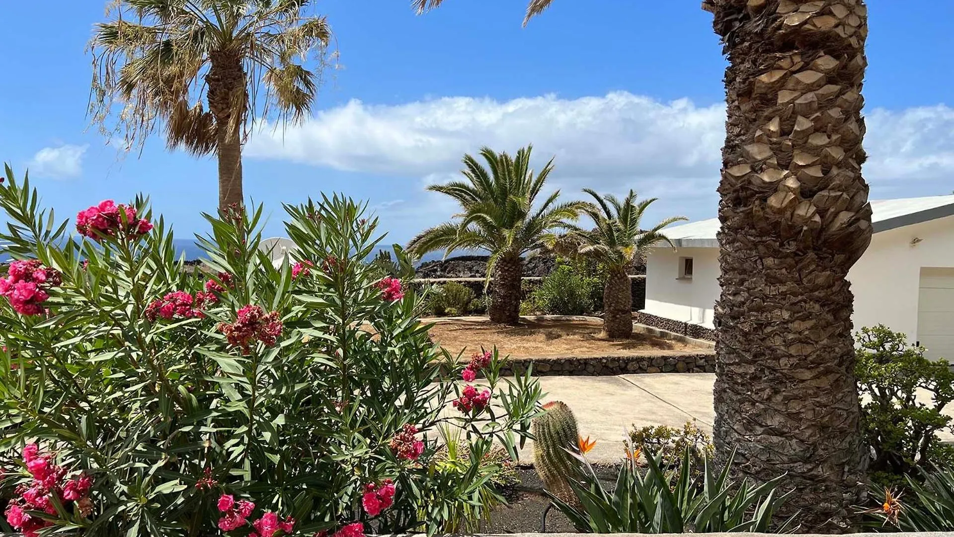 Finca Afortunada Las Puntas 0*,