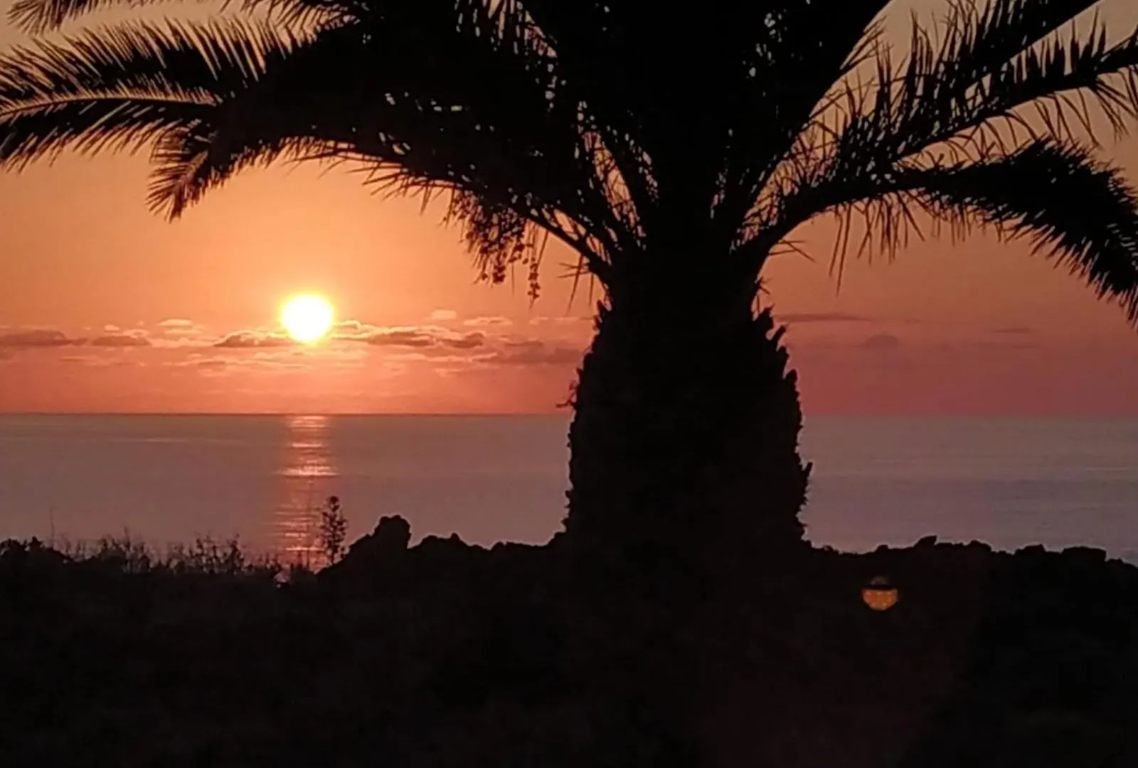 Finca Afortunada Las Puntas إسبانيا