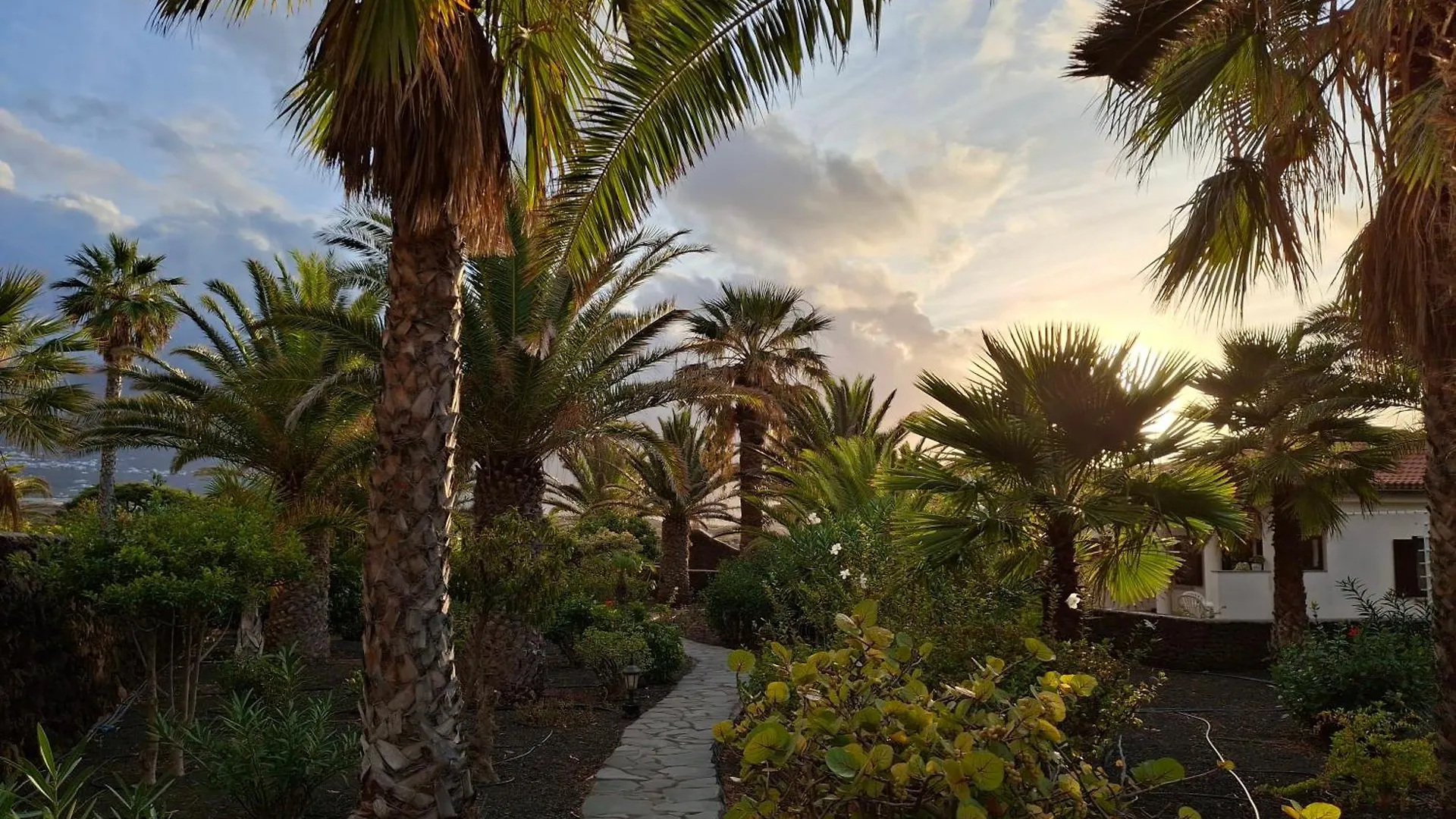Finca Afortunada Las Puntas 0*,